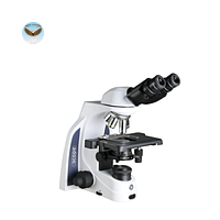 Kính hiển vi hai mắt iScope Euromex IS.1052-PLAi (EWF 12.5x/15 mm, 4x/10x/S40x)